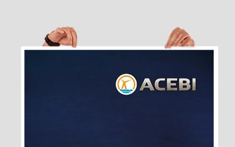 Aperçu : ACEBI