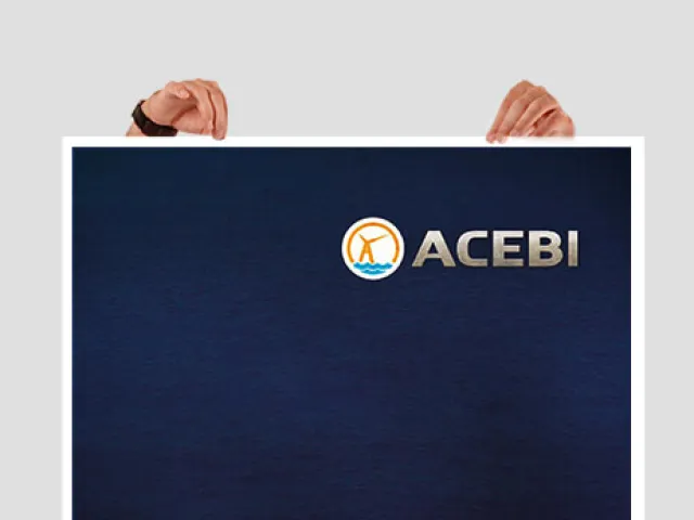 Aperçu : ACEBI